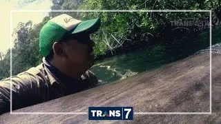 MANCING MANIA - PENGHUNI PAISU BATONGAN BANGGAI (6/11/16) 3-1