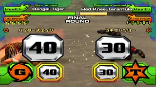Animal Kaiser Evolution 3 | Bengal Tiger Gameplay Hard MODE