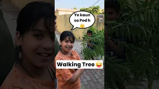 Walking Tree 😜 | #shorts #minivlog #dog