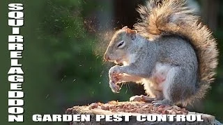 Beautiful back garden pest control - Slo Mo