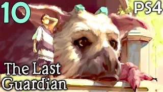 The Last Guardian Walkthrough Part 10 - Treacherous Climbing (PS4 Gameplay)