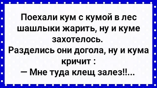 Куме В Одно Место Клещ Залез! Сборник Свежих Анекдотов! Юмор!