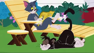 Tom and Jerry Full Episodes   Slicked up Pup 1951 !!!!CL   YouTube