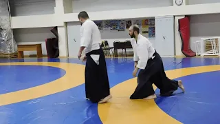 Aikido. Koshi Nage. Marenkov A., 6 Dan Aikido Aikikai