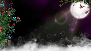 Background video effects hd / Template Video Background /Background Video /Smoke Effect Black Screen