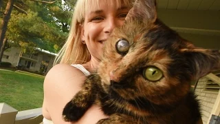 Cat Rescued from 700-Cat Hell