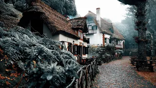 Madeira through my eyes in 45 seconds - Cinematic Video