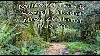 Hiking the Southern Milford Mackinnon Experience - Day 3 of 3: Fun Foto Tips and Trips Episode #19