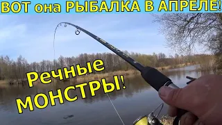 КРАСИВАЯ РЫБАЛКА НА РЕКЕ!  ВЕСЕННЯЯ РЫБАЛКА НА ФИДЕР.