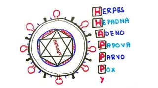 Easy ways to remember DNA viruses( in less than 60 seconds)