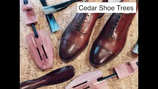 Caring for your Dress Shoes: Using Shoe Trees