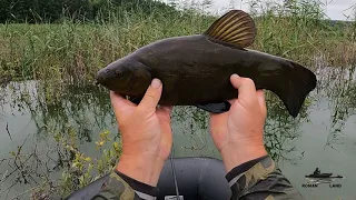 В ПОИСКАХ ТРОФЕЙНОГО ЛИНЯ ! ЛОВЛЯ НА БОКОВОЙ КИВОК С ЛОДКИ .