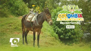 Ecoturismo en Minca, Magdalena | Ruta por Colombia