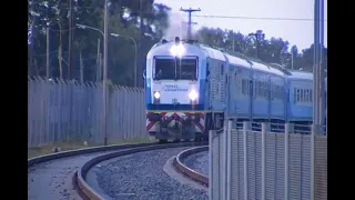 LGR - Tren Itinerante + Trenes Larga Distancia y A914 en Chascomus!!!!