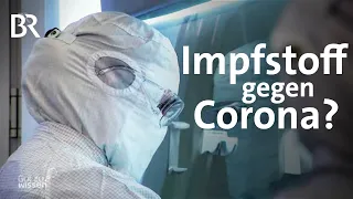 So wird ein Impfstoff gegen Covid-19 entwickelt? | Corona Update | Gut zu wissen | BR