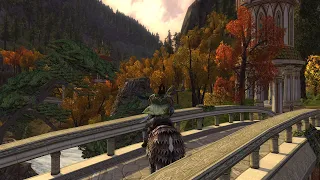 Lord of the Rings Online, the Fellowship leave Rivendell