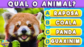 Adivinhe 30 ANIMAIS 🦁 Adivinhe as Espécies de Animais 🐨 Quiz dos Bichos