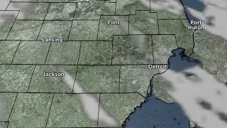 Metro Detroit weather forecast Jan. 22, 2021 -- 5 p.m. Update