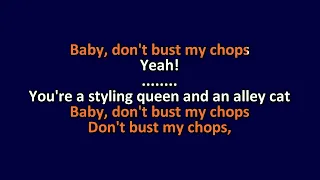 Ramones - Don't Bust My Chops - Karaoke Instrumental Lyrics - ObsKure