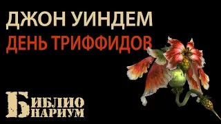 ЛУЧШИЙ ПОСТАПОКАЛИПСИС || ДЕНЬ ТРИФФИДОВ