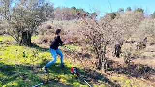 Recuperando la finca, hoy le toca a estos membrillos