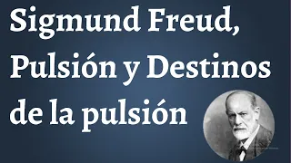 Freud, Conceptos Fundamentales, Libido, Pulsión, Destinos de la Pulsión, Libido Yoica, Objetal