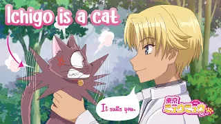 I'm a cat?! Ichigo transforms! ✿ Tokyo Mew Mew New~♡! (Episode 10)