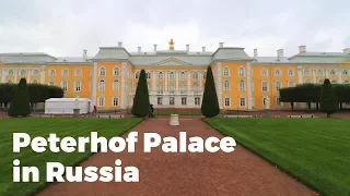 Daytrip to GORGEOUS Peterhof - Travel Vlog Day #76