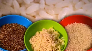 Is Rice Actually Dangerous for You? | Earth Science