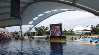Loro Parque Orca Ocean Pre Show Crowd VideoTenerife 2014