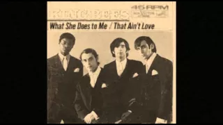 King Bees - I Want My Baby .(1966).***