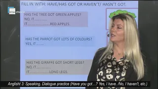 Anglisht 3 - Speaking: Dialogue practice (Have you got… /Yes, I have./No, I haven't, etc)