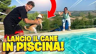 SCHERZO A MIA MAMMA, LANCIO IL CANE IN PISCINA! 😂 *SI ARRABBIA*