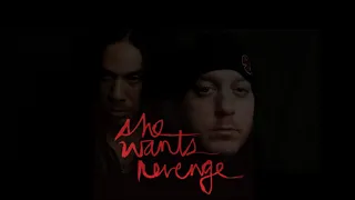 She Wants Revenge - Later Tonight (Rough Mix) (2014, unreleased track)