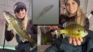 Underwater Ice Fishing Footage