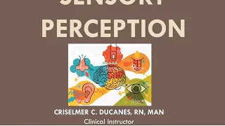 FUNDA LECTURE: Sensory Perception