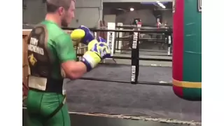 Lomachenko the ninja turtle