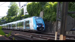 [4K] NAT Z50000 Sur la Ligne L Sud.