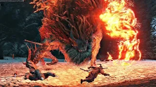 Sekiro Shadows Die Twice - Demon of Hatred Boss Fight (1080p 60fps)