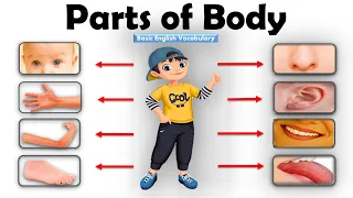 Learn Parts Of Body Name | Parts of Body Name in English | Human Body Parts | Basic English Learning