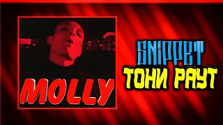 ТОНИ РАУТ - MOLLY (Премьера Сниппета!/2020)