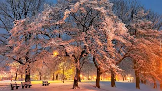 ♫ Beautiful winter melody ♫ Зимняя мелодия для души ♫