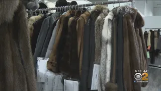 NYC Speaker Proposes Ban On Fur