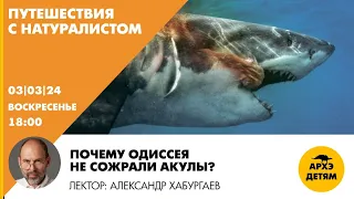 Занятие "Почему Одиссея не сожрали акулы?" // Путешествия с натуралистом" // Александр Хабургаев