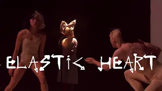 Sia - Elastic Heart (Tour Version)