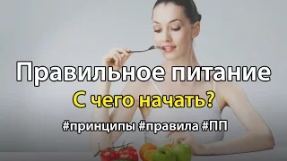 С чего начать правильное питание? Принципы и правила ПП