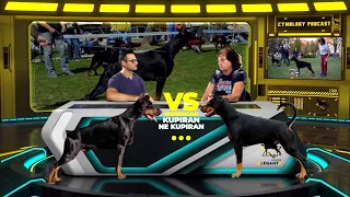 Brinem se za rasu Doberman u buducnosti