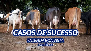 CASOS DE SUCESSO - FAZENDA BOA VISTA - Pompéu, MG