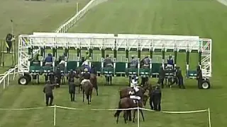 Frankel - Where it all began. His first race Newmarket Maiden