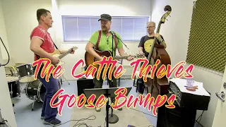 The Cattle Thieves - Goose Bumps (Mac Curtis cover)